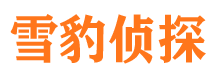 乐亭市调查公司